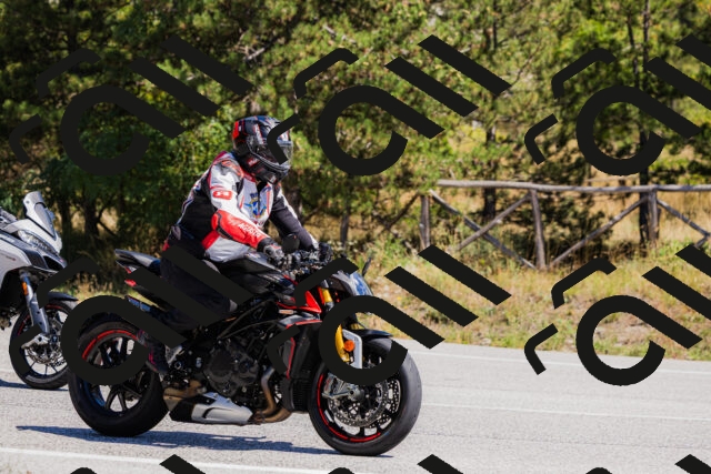 202509061307-_04A5973_c3