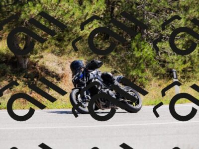 202509061307-_04A5977_c3