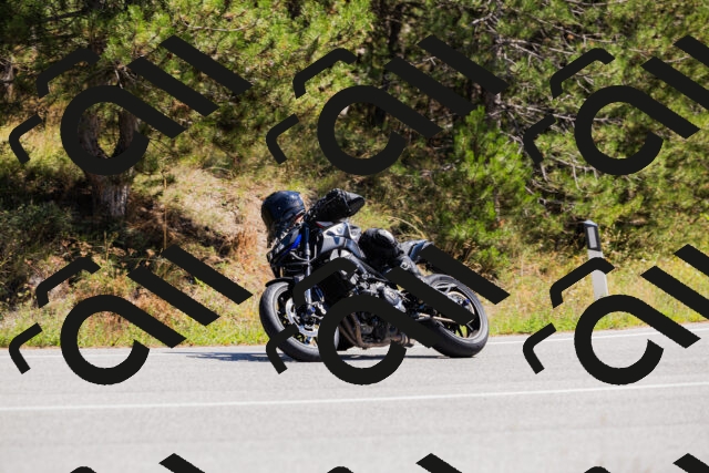 202509061307-_04A5977_c3