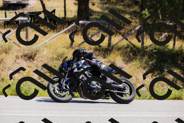 202509061307-_04A5978_c3