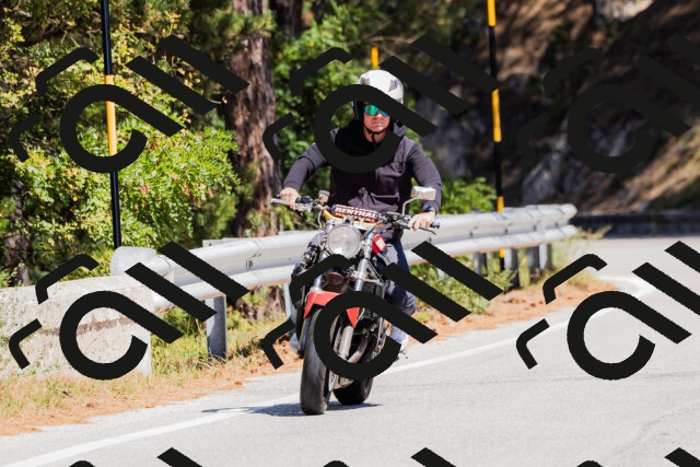 202509061307-_04A5979_c3