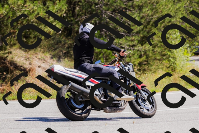 202509061307-_04A5981_c3