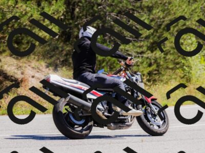 202509061307-_04A5981_c3