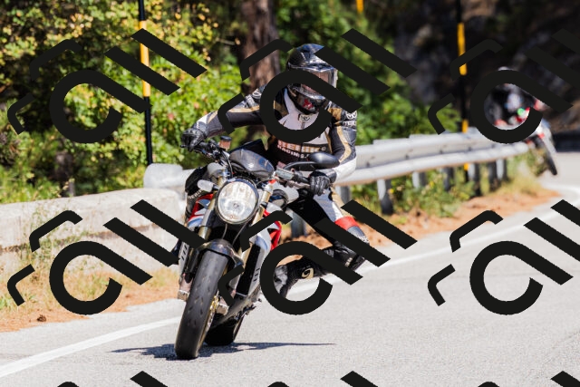 202509061308-_04A5982_c3