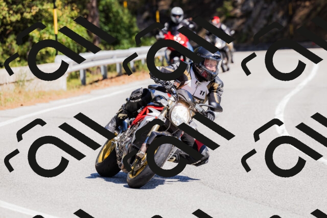 202509061308-_04A5983_c3