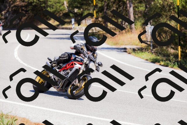 202509061308-_04A5984_c3