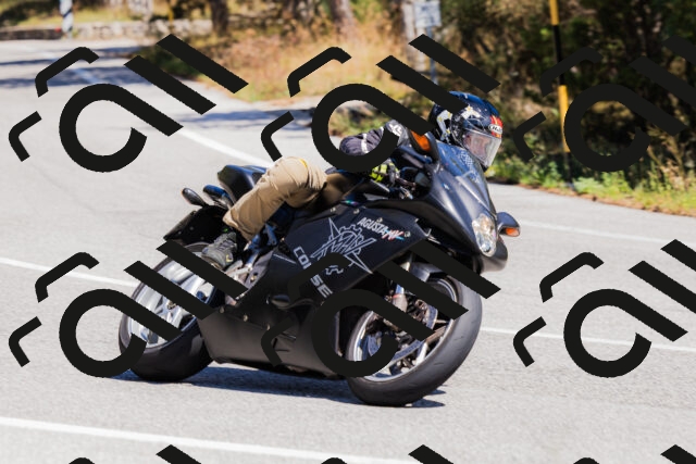 202509061308-_04A5988_c3