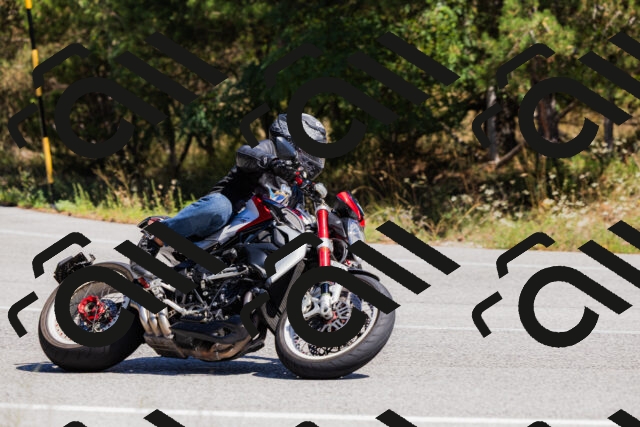 202509061308-_04A5989_c3