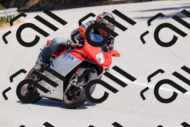 202509061308-_04A5992_c3