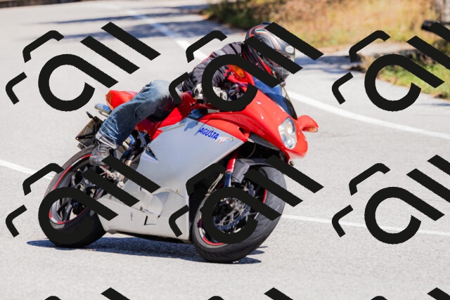 202509061308-_04A5993_c3