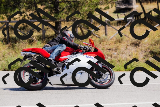 202509061308-_04A5995_c3