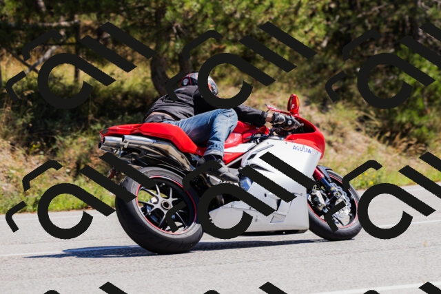 202509061308-_04A5996_c3