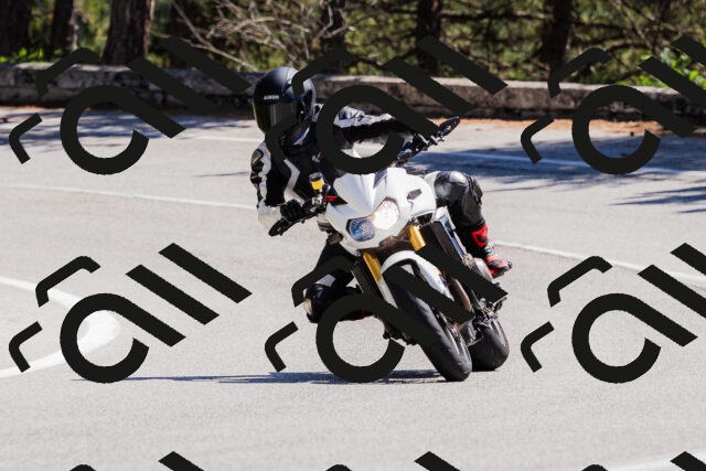 202509061308-_04A6000_c3