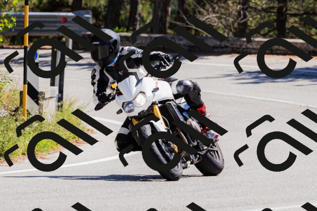 202509061308-_04A6001_c3