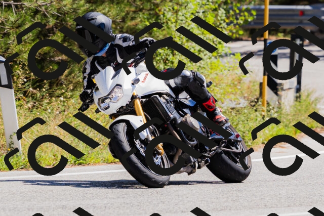 202509061308-_04A6002_c3