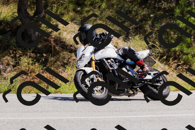 202509061308-_04A6003_c3