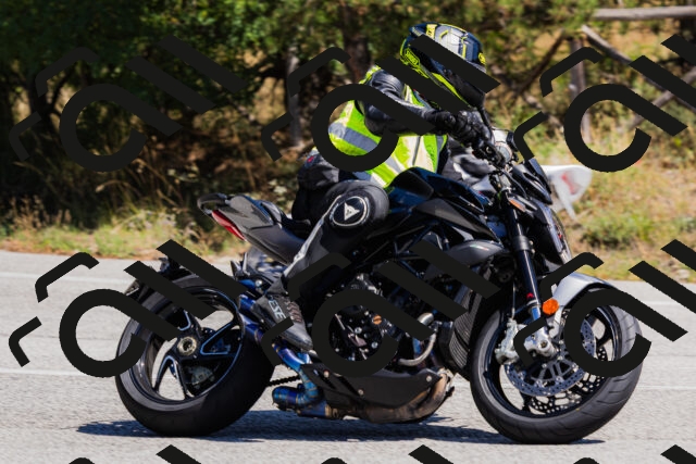 202509061308-_04A6004_c3