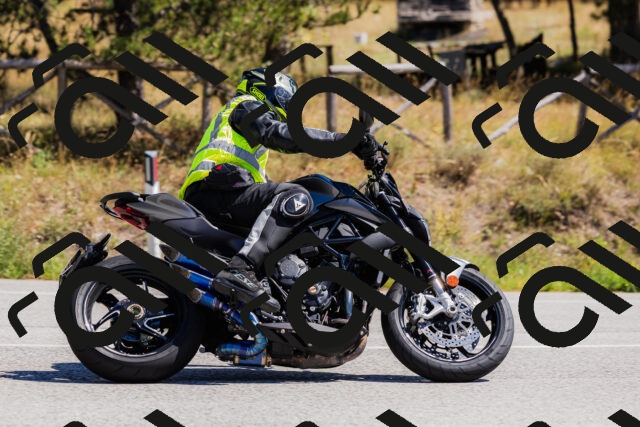 202509061308-_04A6005_c3