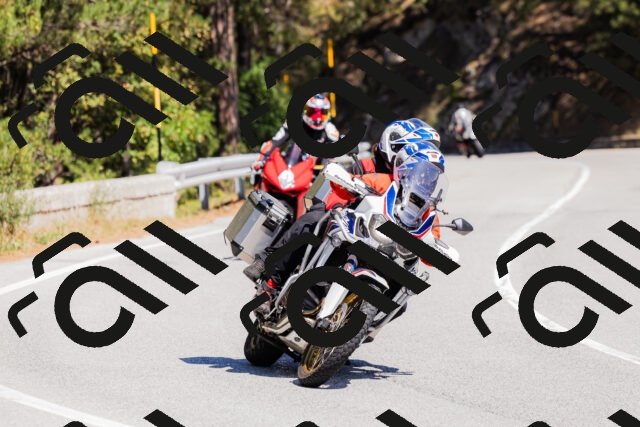 202509061308-_04A6007_c3