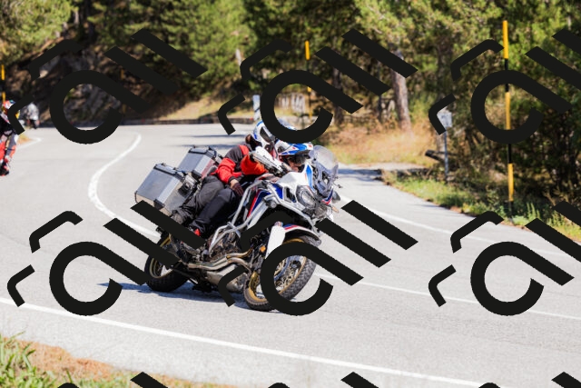 202509061308-_04A6008_c3