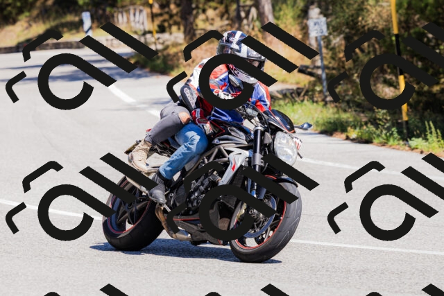 202509061308-_04A6014_c3