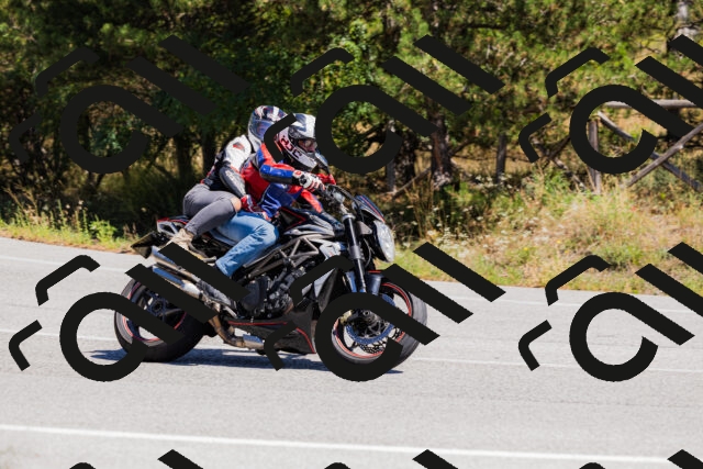 202509061308-_04A6015_c3