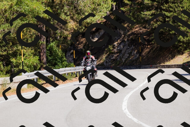 202509061308-_04A6018_c3