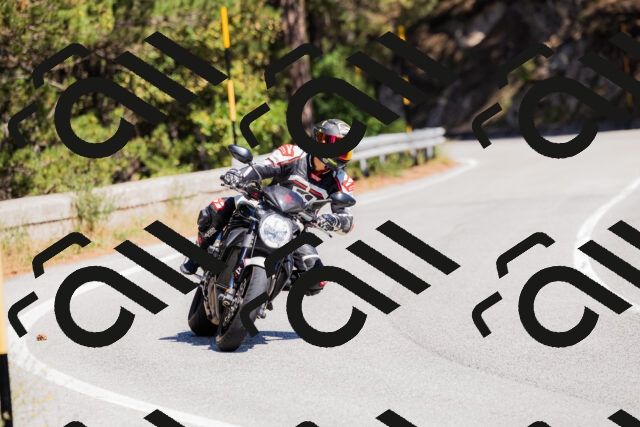 202509061309-_04A6019_c3