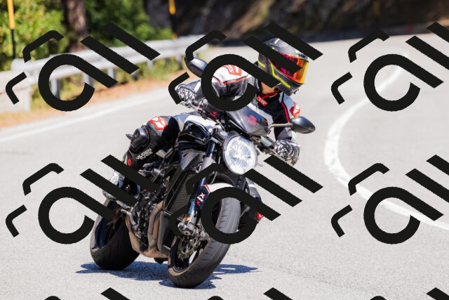 202509061309-_04A6020_c3