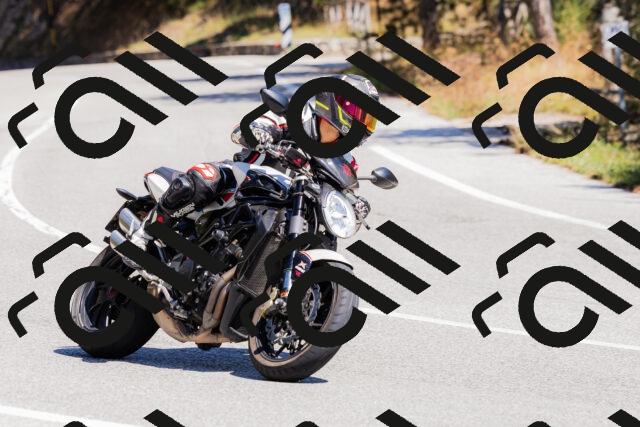 202509061309-_04A6021_c3