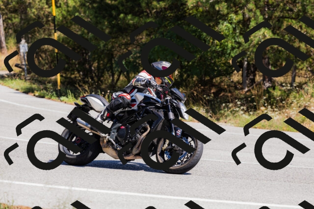 202509061309-_04A6022_c3