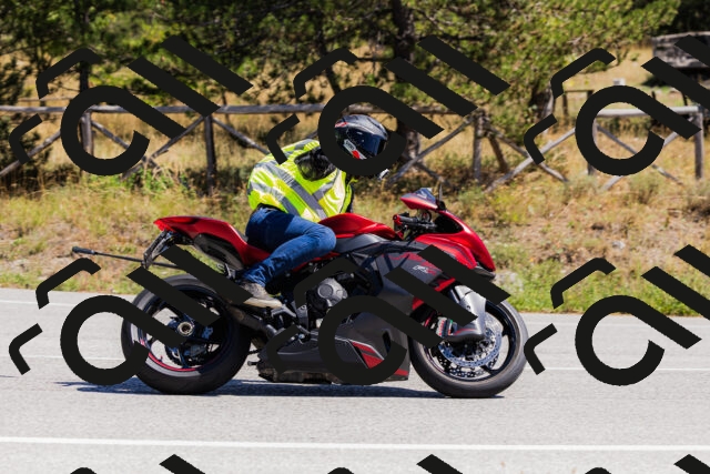 202509061309-_04A6025_c3