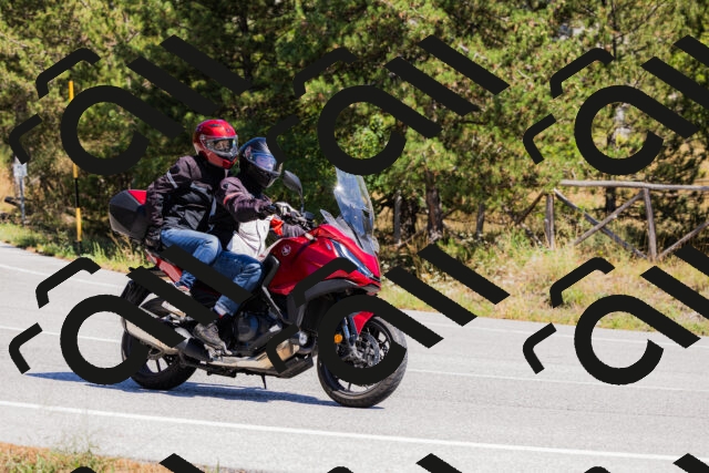 202509061309-_04A6028_c3