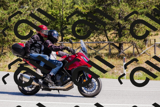 202509061309-_04A6029_c3