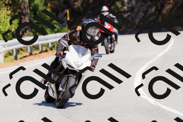 202509061309-_04A6030_c3