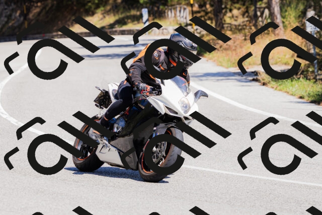 202509061309-_04A6031_c3