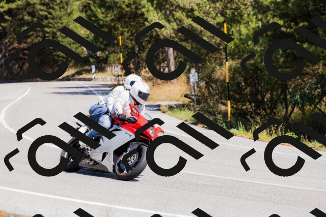 202509061309-_04A6040_c3