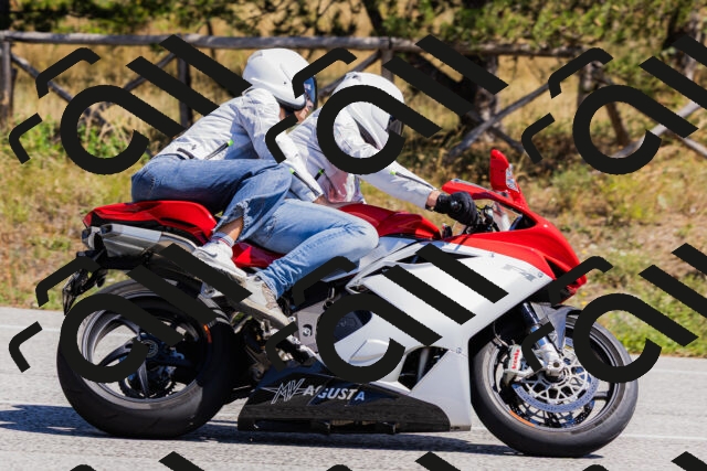 202509061309-_04A6042_c3