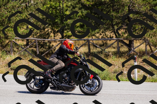 202509061309-_04A6047_c3