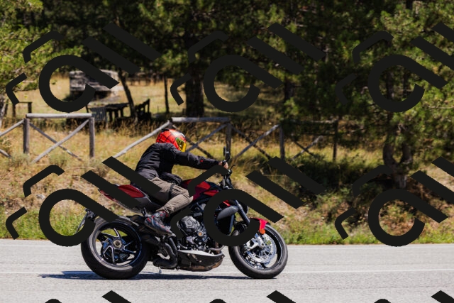 202509061309-_04A6048_c3