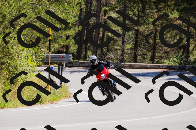 202509061310-_04A6056_c3