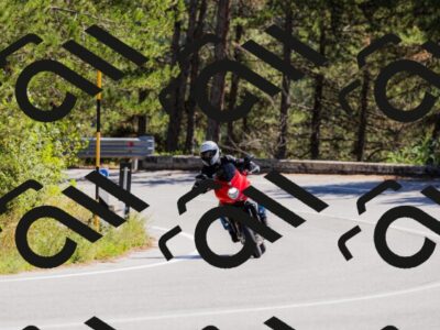 202509061310-_04A6056_c3