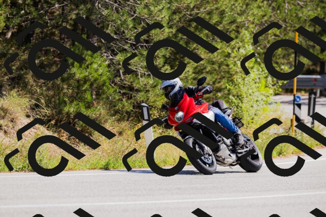 202509061310-_04A6057_c3