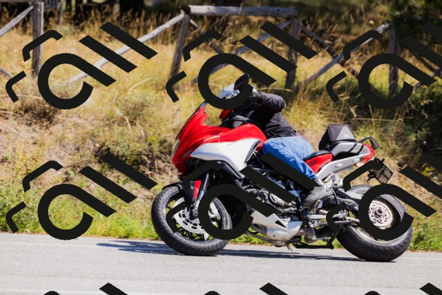 202509061310-_04A6059_c3