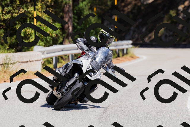 202509061310-_04A6060_c3