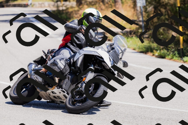 202509061310-_04A6061_c3