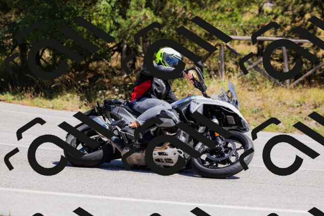 202509061310-_04A6062_c3