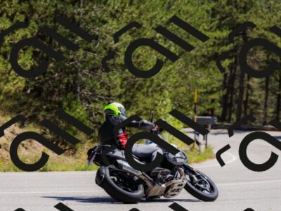 202509061310-_04A6064_c3