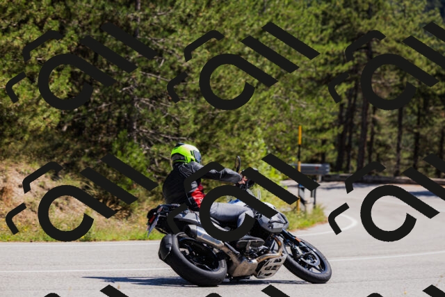 202509061310-_04A6064_c3