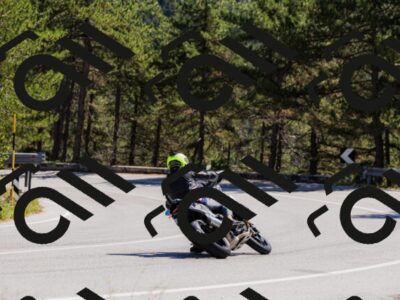 202509061310-_04A6065_c3